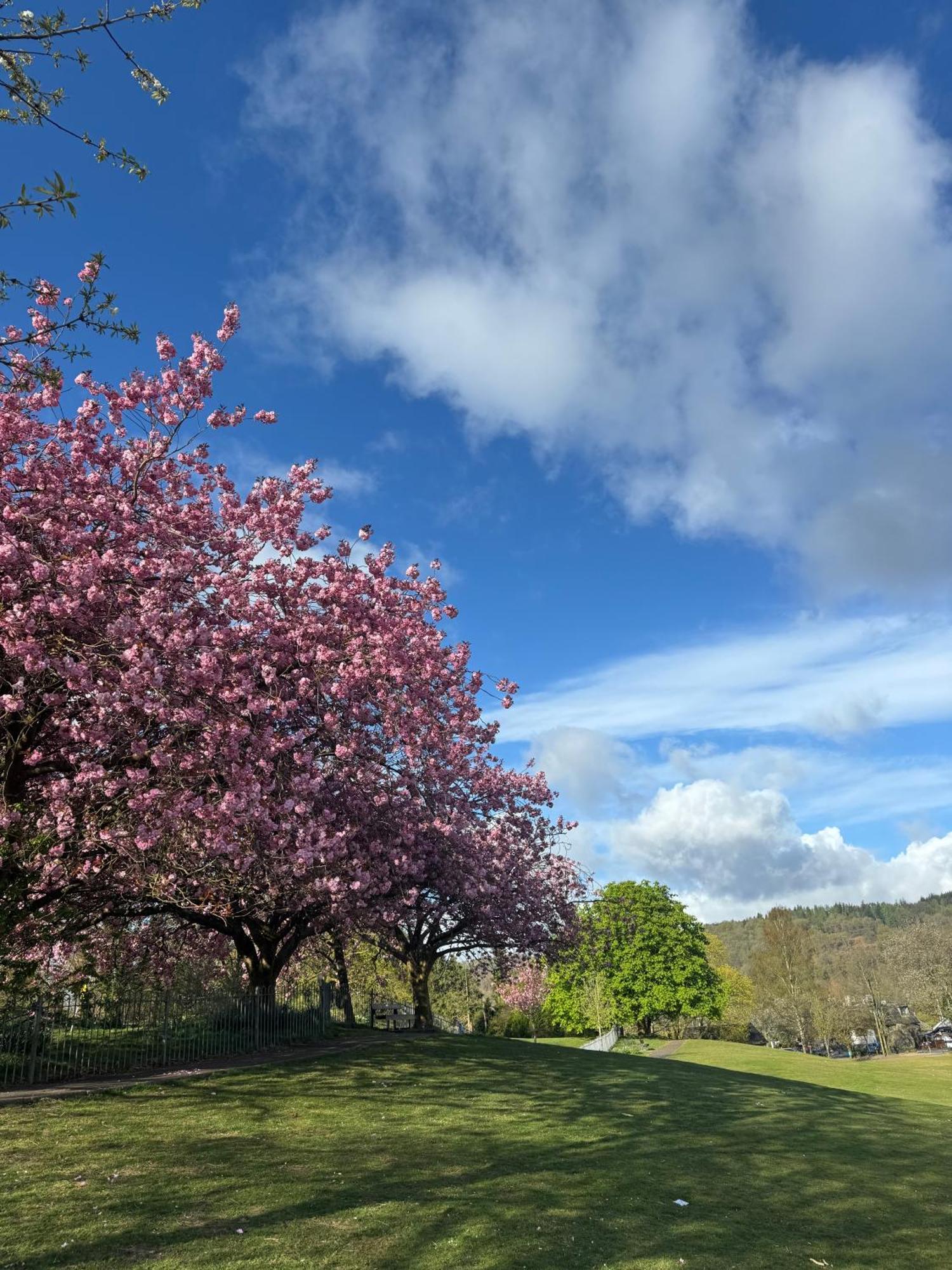 Denecrest Guest House Windermere Esterno foto